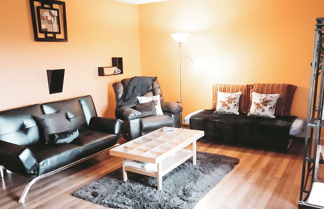 The Canary 223 - Photo 12