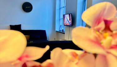 L'étoile de Châtenois - Foto 2