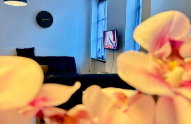 L'étoile de Châtenois - Foto 2