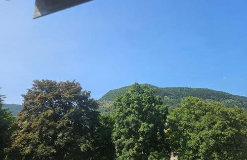 Ferienwohnung Zur Nordalb - Foto 14