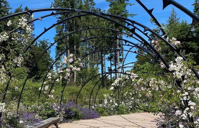 Idyllic Cottage Sleeps 4 pet Friendly - Foto 19