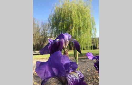 LES HORTENSIAS Spacieuse Maison en ardoise du pays FIBRE - Foto 16