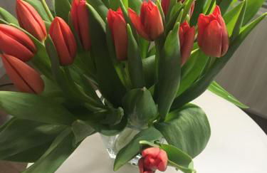 Ferienwohnung Mosel - Foto 11