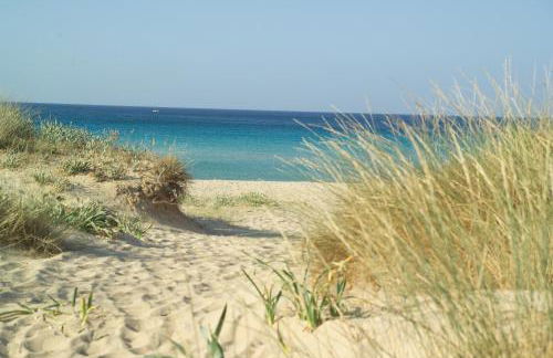 VILLA ROSA MEDITERRANEA - Foto 61