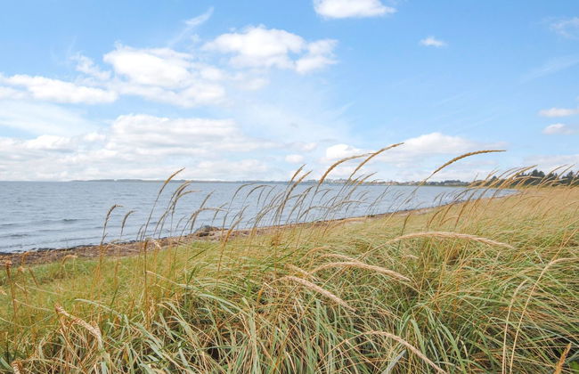 "Eisa" - 300m to the fjord - Foto 9