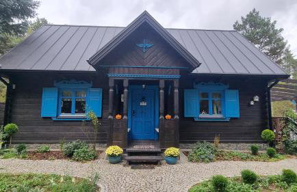 Niezapominajka - Foto 29