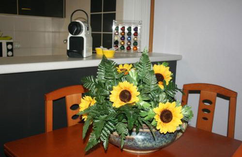 Fabiola Zentro - Foto 14