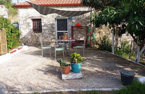 Mojo Art House - Foto 26