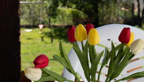 Lucija - Photo 5, Garden