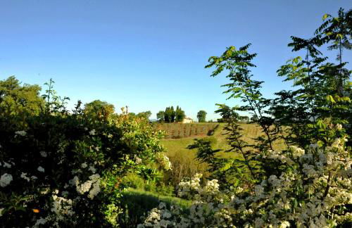 Agriturismo il Pino - Bioagricoltura - Photo 53