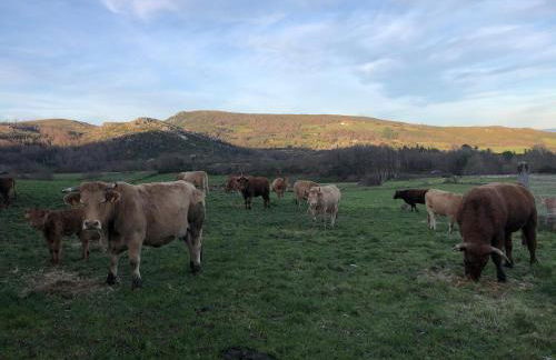 A Casa do Chico - Foto 12