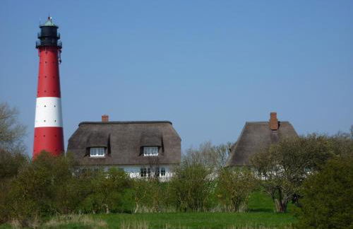 Atlanta Pur - Foto 18