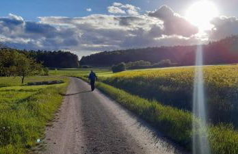 Ferienwohnung Patermann - Foto 7