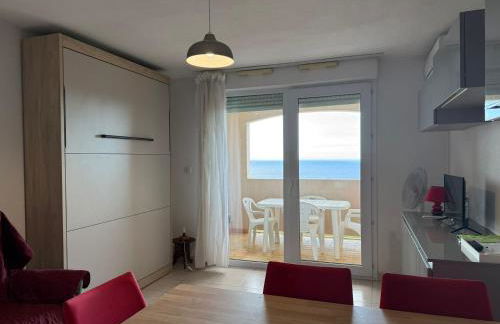 Studio cabine à Banyuls-sur-Mer avec terrasse - FR-1-309-210 - Foto 14