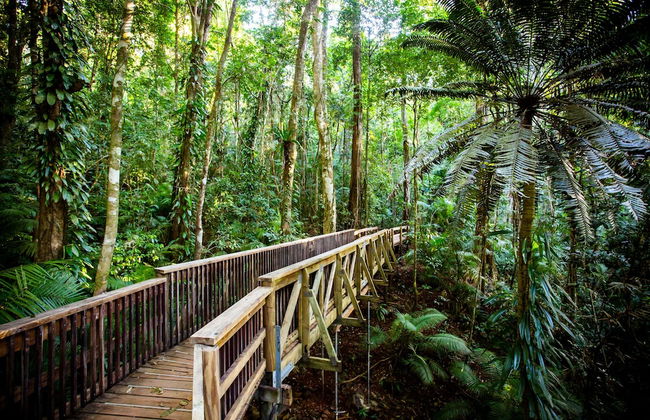 Villa Royale - Photo 26