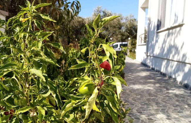 Yazduf Family Homes - Foto 24