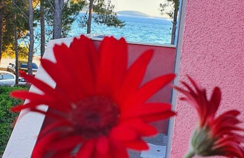 Apartman Noa - Foto 21