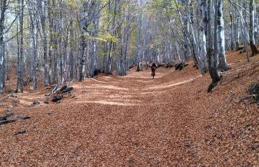 Uvatanta Cottage - Foto 36