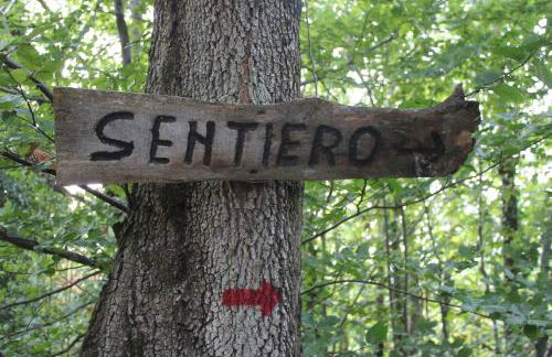 Agriturismo La Valle del Vento Urbino - Foto 27