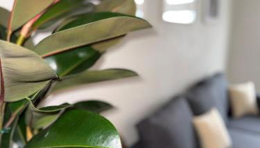 Highfield 2 rooms Apartment - Foto 2