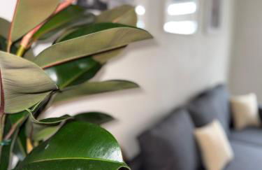 Highfield 2 rooms Apartment - Foto 2