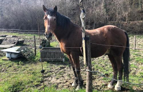 Agriturismo Campo Rosso - Foto 105