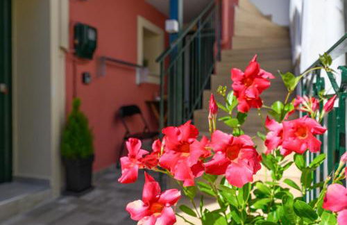 Ileana -Marina studio 2 - Foto 12