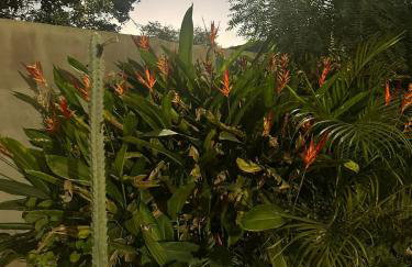 Casa para temporada com Piscina - Foto 36