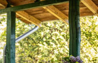 Cisza żurawi - Foto 21