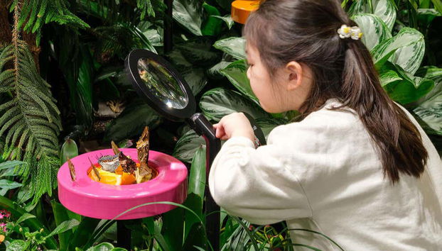 Disfrutando en el mariposario