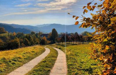 Dom na Kamieńcu - Photo 58