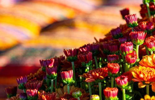 DOMEK NIEBIESKI W BESKIDZIE MAŁYM - Foto 25