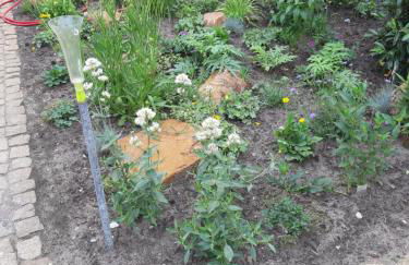 Zur alten Sommerküche - Foto 6