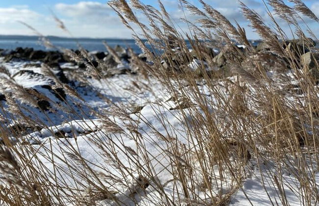 Ferienhaus mit Sauna in Boiensdorf - Foto 25