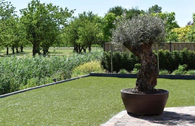 Villa in Bosrijk Near Horsterwold Forest - Photo 31