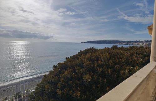 Victoria Plaza - Foto 14