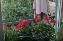 Dorfstraße 21 Ferienwohnung 3 - Foto 9