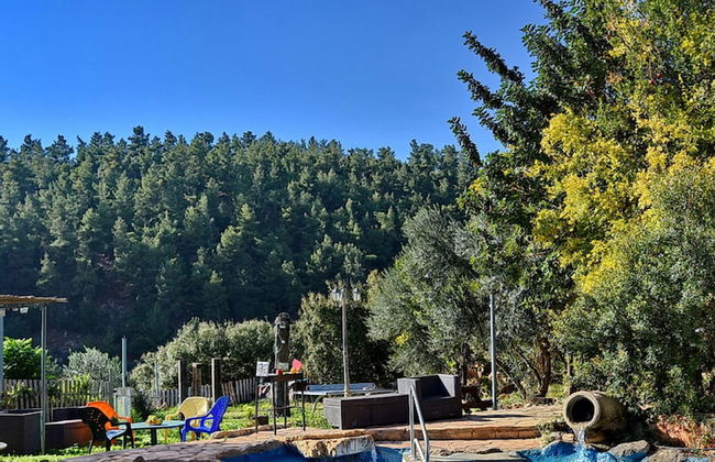 Niflaot Hagalil - Foto 37