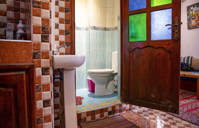 The Little Seagull 2 - Foto 12