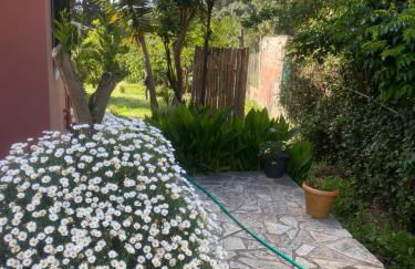 Casa Piccolino - Foto 37