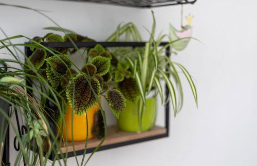 Apartment Nava in Center of Split - Foto 20