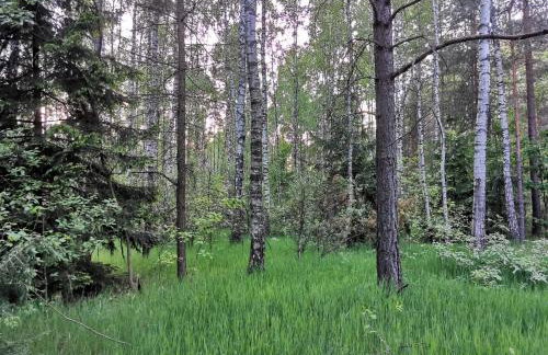 Agroturystyka Pasynki 44 - Foto 12