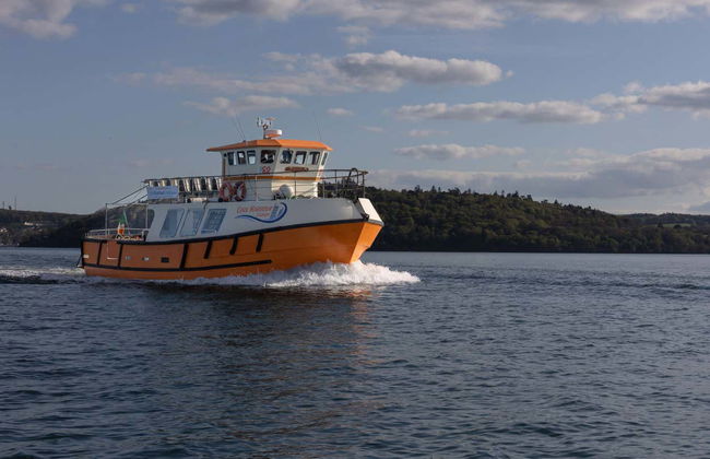 Cork Harbour Boat Cruise - Foto 7