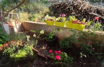 Apartments Vlado - Foto 16