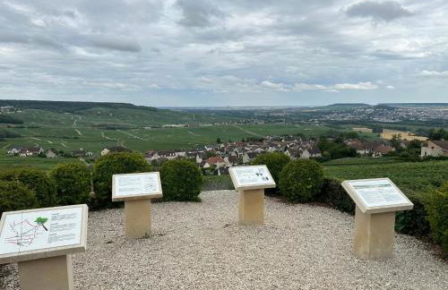 Pink Tropical Champagne - Foto 66