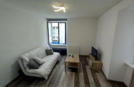 Saint-flour appartement au cœur de la ville - Foto 7