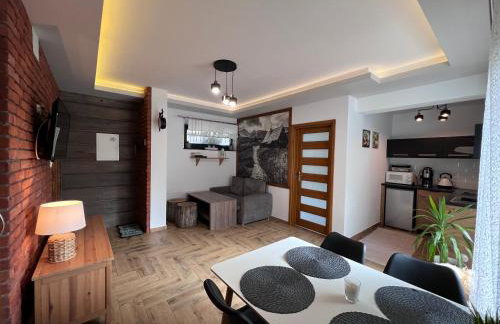 Domek pod Tatrami Jurgów noclegi - Foto 54