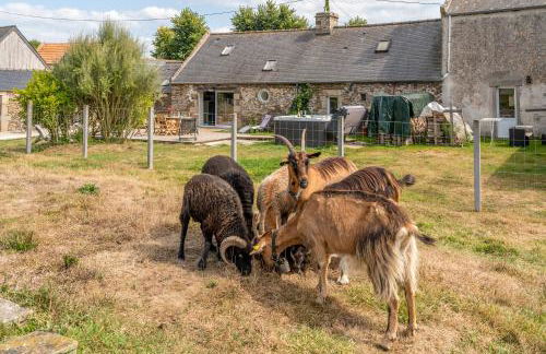 Le gîte de Saint Mathieu, longère pleine de charme au bout du monde ! jacuzzi extérieur vue sur la campagne, salle de billard - Photo 18