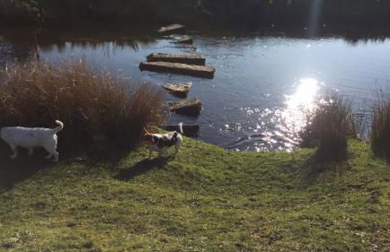 Ingledale Apartment, Ingleton, Yorkshire Dales National Park, Famous Three Peaks, Near The Lake District, Pets Are Welcome - Foto 55