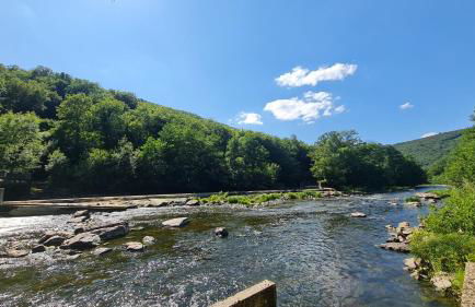 Chalet LE LIRY - Foto 17